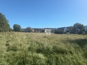 Prodej pozemku pro bydlení, Bušovice, 3737 m2