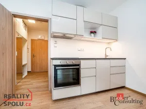 Pronájem bytu 1+kk, Slaný, Lázeňská, 35 m2