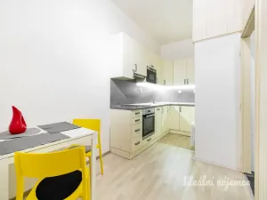 Pronájem bytu 1+1, Praha - Vršovice, Sevastopolská, 43 m2