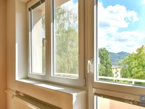 Pronájem bytu 3+1, Ústí nad Labem, Hilarova, 74 m2