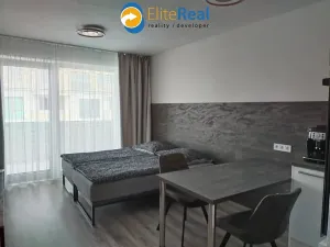 Pronájem bytu 1+kk, Olomouc, Frištenského, 33 m2