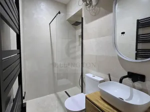 Pronájem bytu 1+1, Teplice, Duchcovská, 52 m2