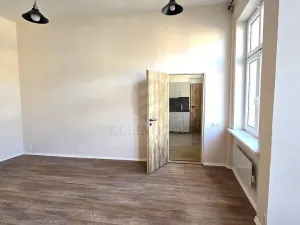 Pronájem bytu 1+1, Teplice, Duchcovská, 52 m2