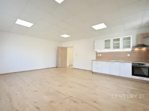 Pronájem bytu 2+kk, Plzeň, Tisová, 70 m2