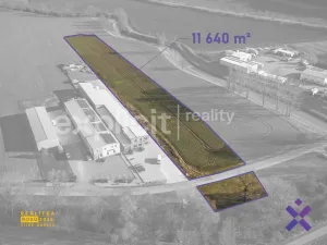 Prodej komerčního pozemku, Drslavice, 11640 m2