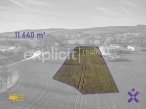 Prodej komerčního pozemku, Drslavice, 11640 m2