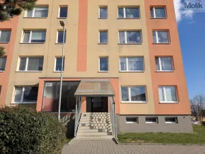 Pronájem bytu 2+kk, Duchcov, V Domkách, 40 m2