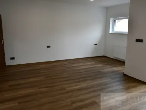 Pronájem bytu 1+kk, Plzeň, Pilařská, 43 m2