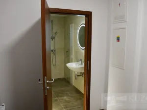 Pronájem bytu 1+kk, Plzeň, Pilařská, 43 m2