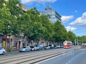 Prodej bytu 3+1, Praha - Žižkov, Biskupcova, 88 m2