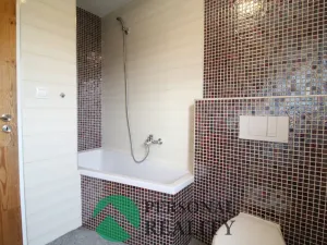 Pronájem bytu 2+1, Svatava, Pobřežní, 53 m2