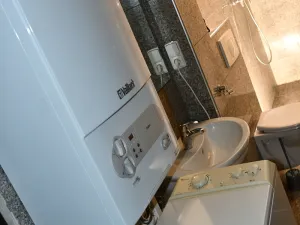 Pronájem bytu 2+kk, Plzeň, Mánesova, 60 m2