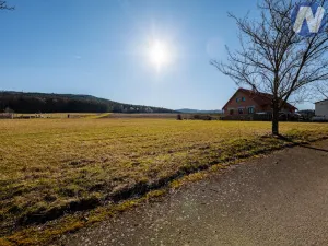 Prodej pozemku pro bydlení, Brloh - Rojšín, 1045 m2