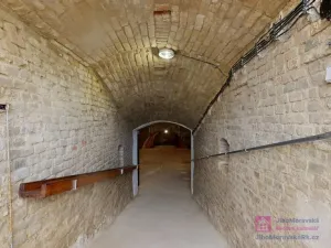 Prodej vinného sklepa, Velké Bílovice, U Školky, 125 m2
