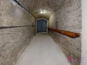 Prodej vinného sklepa, Velké Bílovice, U Školky, 125 m2