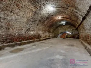 Prodej vinného sklepa, Velké Bílovice, U Školky, 125 m2