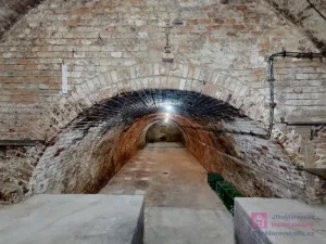 Prodej vinného sklepa, Velké Bílovice, U Školky, 125 m2
