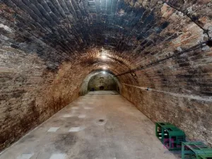 Prodej vinného sklepa, Velké Bílovice, U Školky, 125 m2