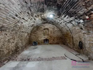 Prodej vinného sklepa, Velké Bílovice, U Školky, 125 m2