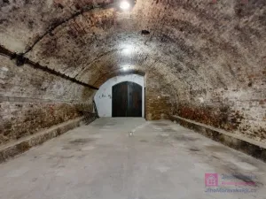 Prodej vinného sklepa, Velké Bílovice, U Školky, 125 m2