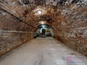 Prodej vinného sklepa, Velké Bílovice, U Školky, 125 m2