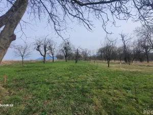 Prodej zahrady, Bystřice pod Hostýnem, 1250 m2