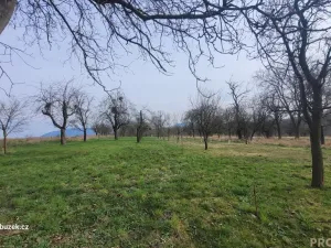 Prodej zahrady, Bystřice pod Hostýnem, 1250 m2