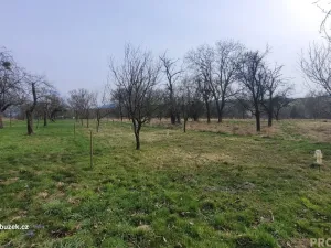 Prodej zahrady, Bystřice pod Hostýnem, 1250 m2