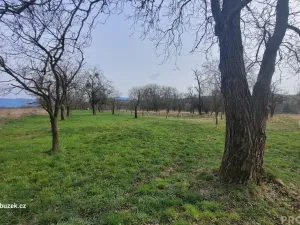 Prodej zahrady, Bystřice pod Hostýnem, 1250 m2