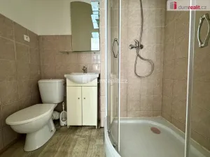 Pronájem bytu 1+1, Chomutov, Nerudova, 55 m2