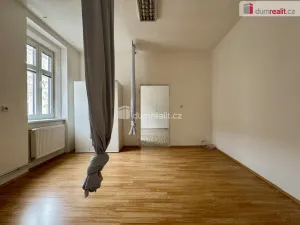 Pronájem bytu 1+1, Chomutov, Nerudova, 55 m2