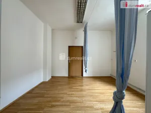 Pronájem bytu 1+1, Chomutov, Nerudova, 55 m2