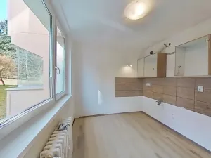 Pronájem bytu 1+1, Jihlava, Březinova, 32 m2