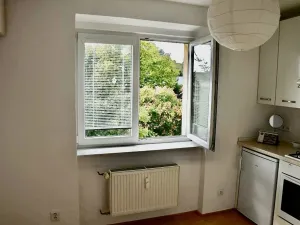 Pronájem bytu 1+1, Brno, Sibiřská, 30 m2