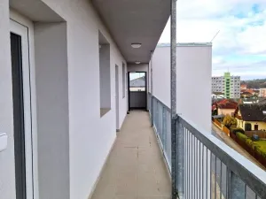 Pronájem bytu 2+kk, Dobřany, Loudů, 61 m2