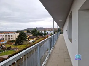 Pronájem bytu 2+kk, Dobřany, Loudů, 61 m2