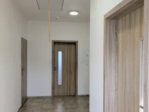 Pronájem bytu 4+kk, Peruc, U Koupaliště, 116 m2