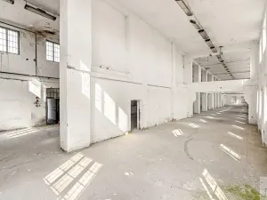 Prodej výrobních prostor, Heřmanův Městec, Tylova, 1970 m2
