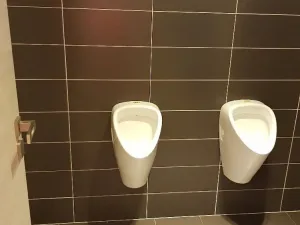 Pronájem obchodního prostoru, České Budějovice - České Budějovice 3, Pražská tř., 60 m2