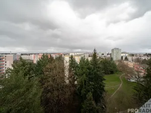 Pronájem bytu 2+1, Olomouc, Jílová, 53 m2