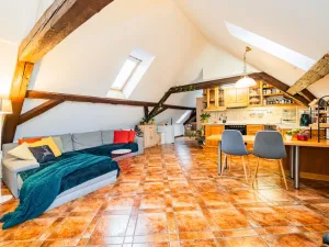 Prodej atypického bytu, Praha - Nové Město, Havlíčkova, 295 m2