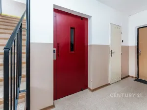 Pronájem bytu 3+1, Most, Javorová, 65 m2