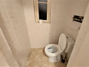 Pronájem bytu 2+kk, Praha - Vinohrady, Mánesova, 61 m2