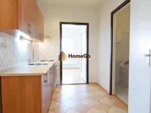 Pronájem bytu 1+kk, Praha - Nusle, U gymnázia, 50 m2