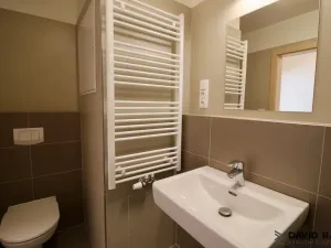 Pronájem bytu 1+kk, Olomouc - Nové Sady, Rokycanova, 40 m2