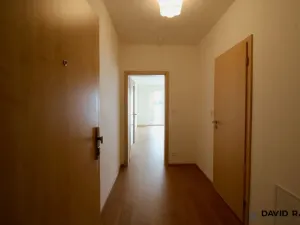 Pronájem bytu 1+kk, Olomouc - Nové Sady, Rokycanova, 40 m2