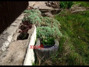 Prodej zahrady, Klášterec nad Ohří - Mikulovice, 303 m2