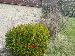 Prodej zahrady, Klášterec nad Ohří - Mikulovice, 303 m2