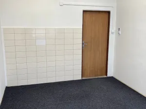 Pronájem skladu, Frýdek-Místek, Národních mučedníků, 140 m2