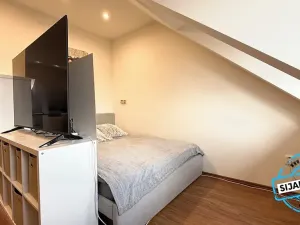 Prodej bytu 3+kk, Krnov, Sv. Ducha, 84 m2